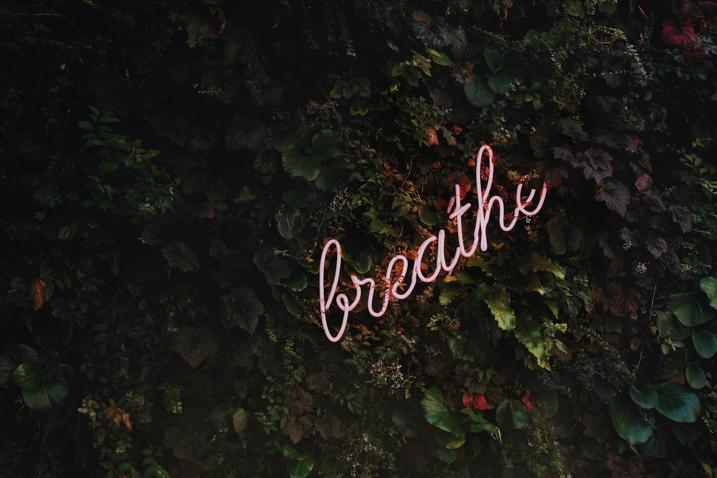 10 Self-Care Strategies for Mental Resilience